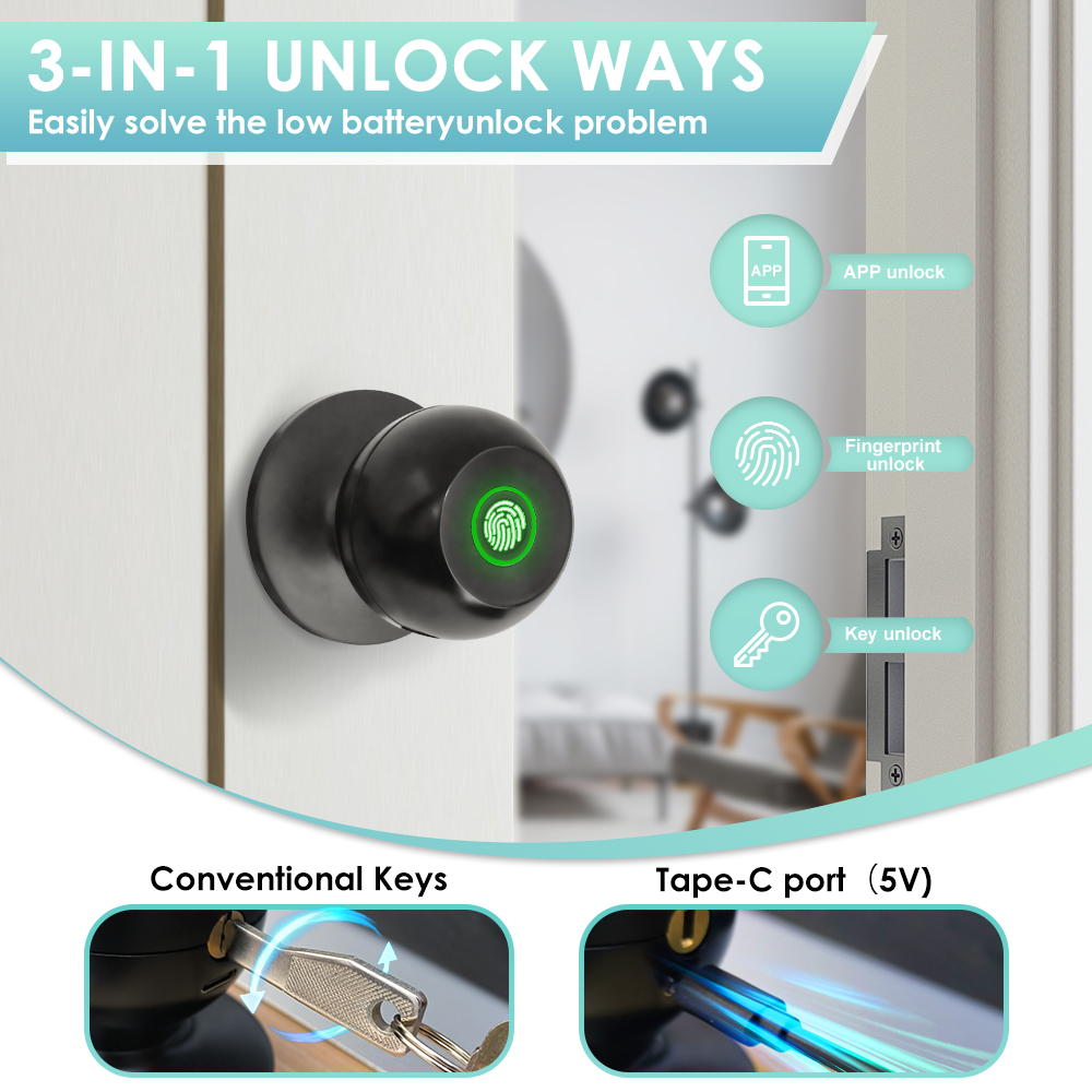 Tuya Electronic Door Lock Smar - Home Office Immigration review and price